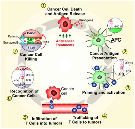 melanoma immunotherapy trials